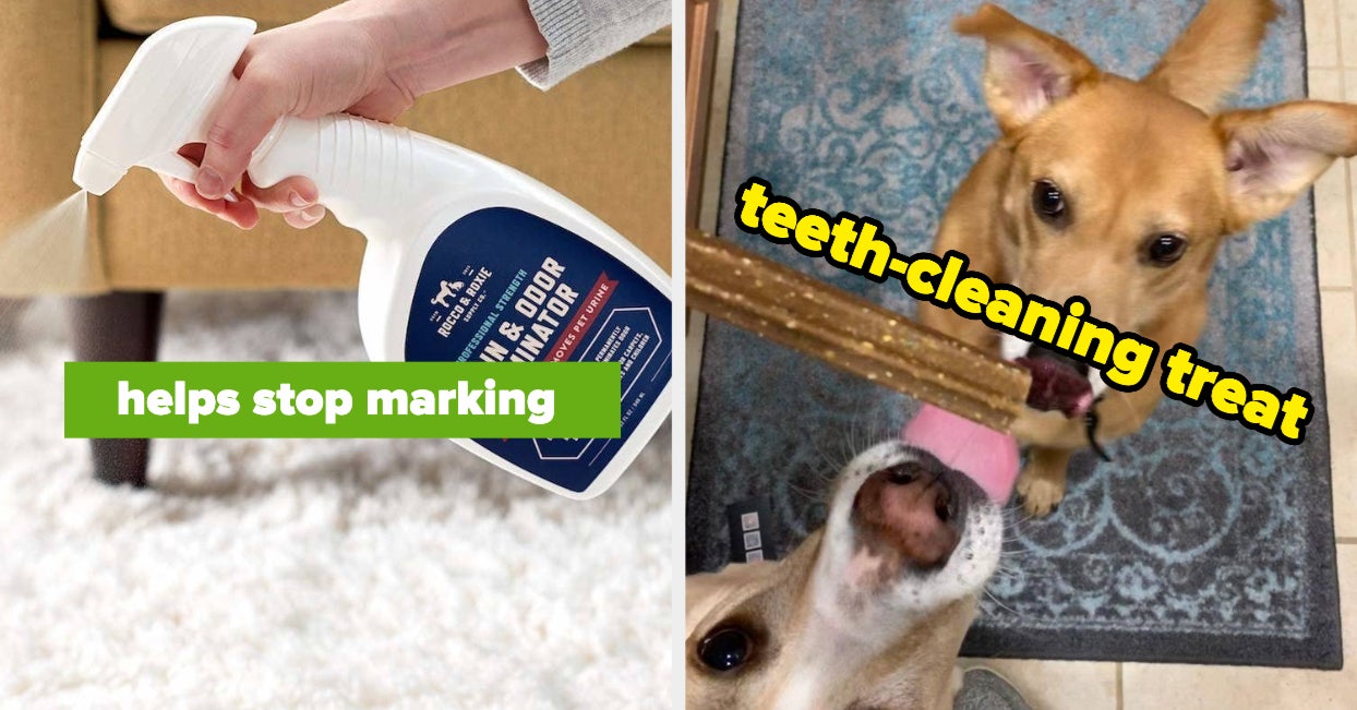 Dog's Breath Smells Like Urine