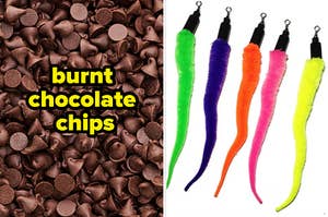 chocolate chips next to fuzzy cat toys shaped like worms