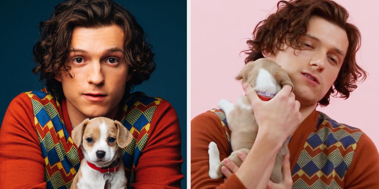 Tom Holland Did Our Puppy Interview (Again!), And I Don’t
Think You Get It…I’m *Obsessed*