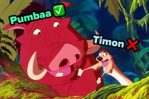 timon and pumbaa with a red x next to timon and a green checkmark next to pumbaa