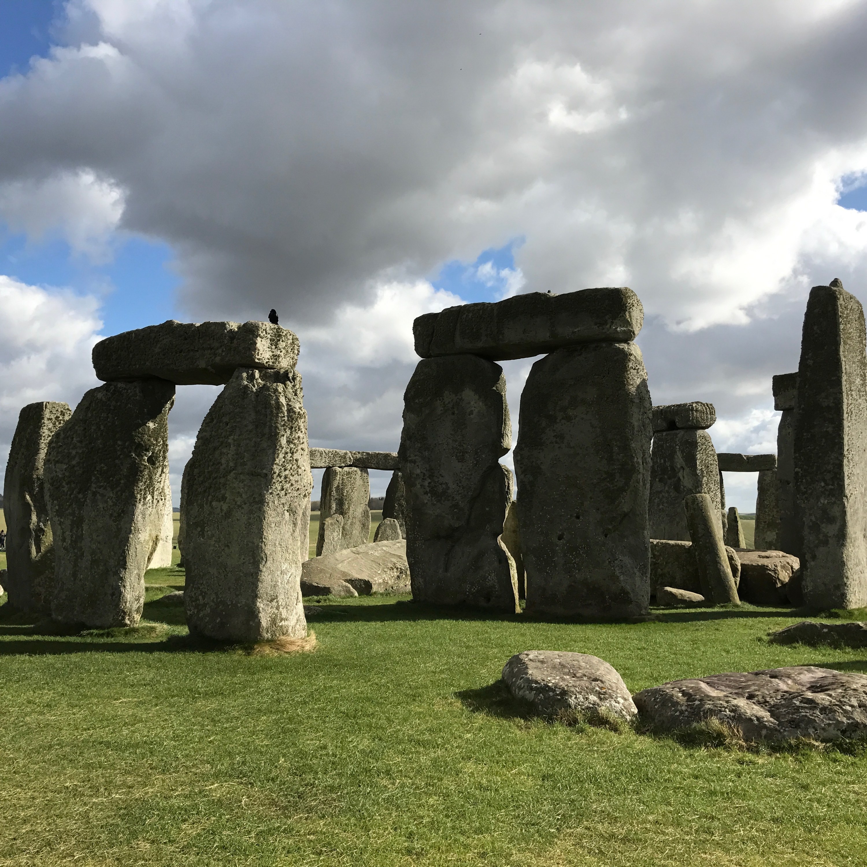 A raven sitting on top of the stones at Stonehenge