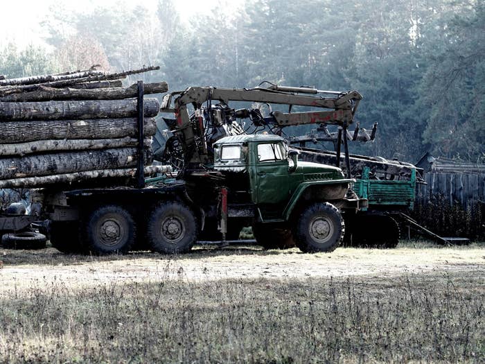 Logging truck is near the forest in the morning