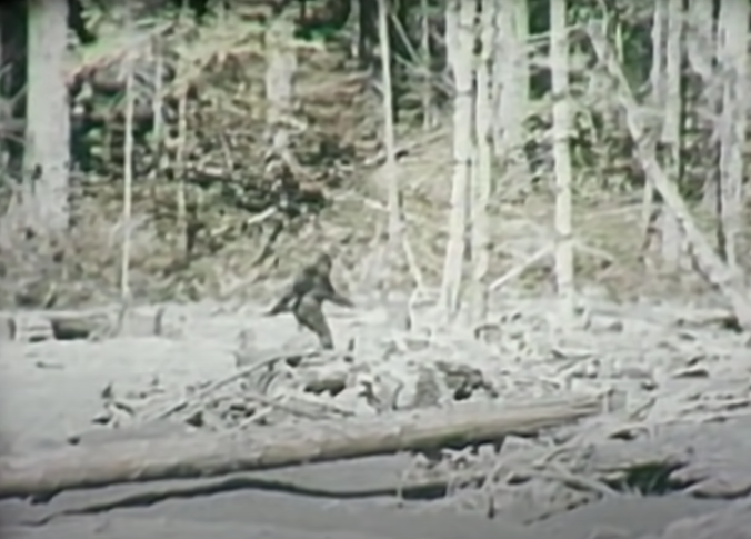 Screenshot of the bigfoot walking in the distance from the Patterson-Gimlin film