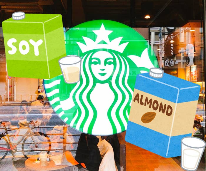 高級パティスリーみたい スタバの ホイップたっぷりスイーツ シンプルだけどめちゃくちゃハマる味