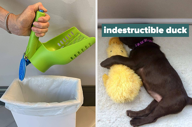 L: green litter scoop with a bottom that opens R: puppy napping with a yellow stuffed duck