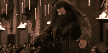 Hagrid hugging Harry Potter