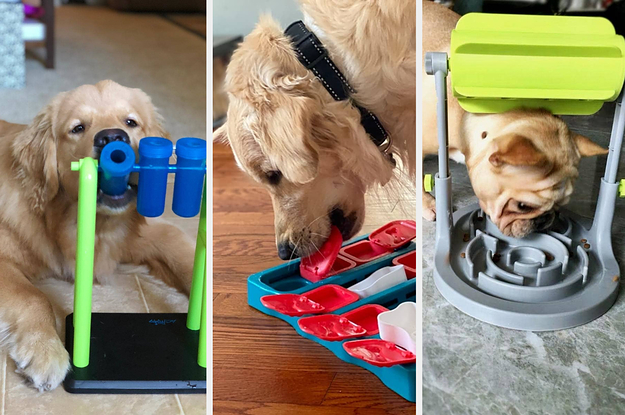 left: reviewer photo, golden retriever playing with beaker puzzle feeder. middle: golden retriever eating from puzzle feeder with lots of compartments. right: reviewer photo, little bulldog eating from puzzle feeder