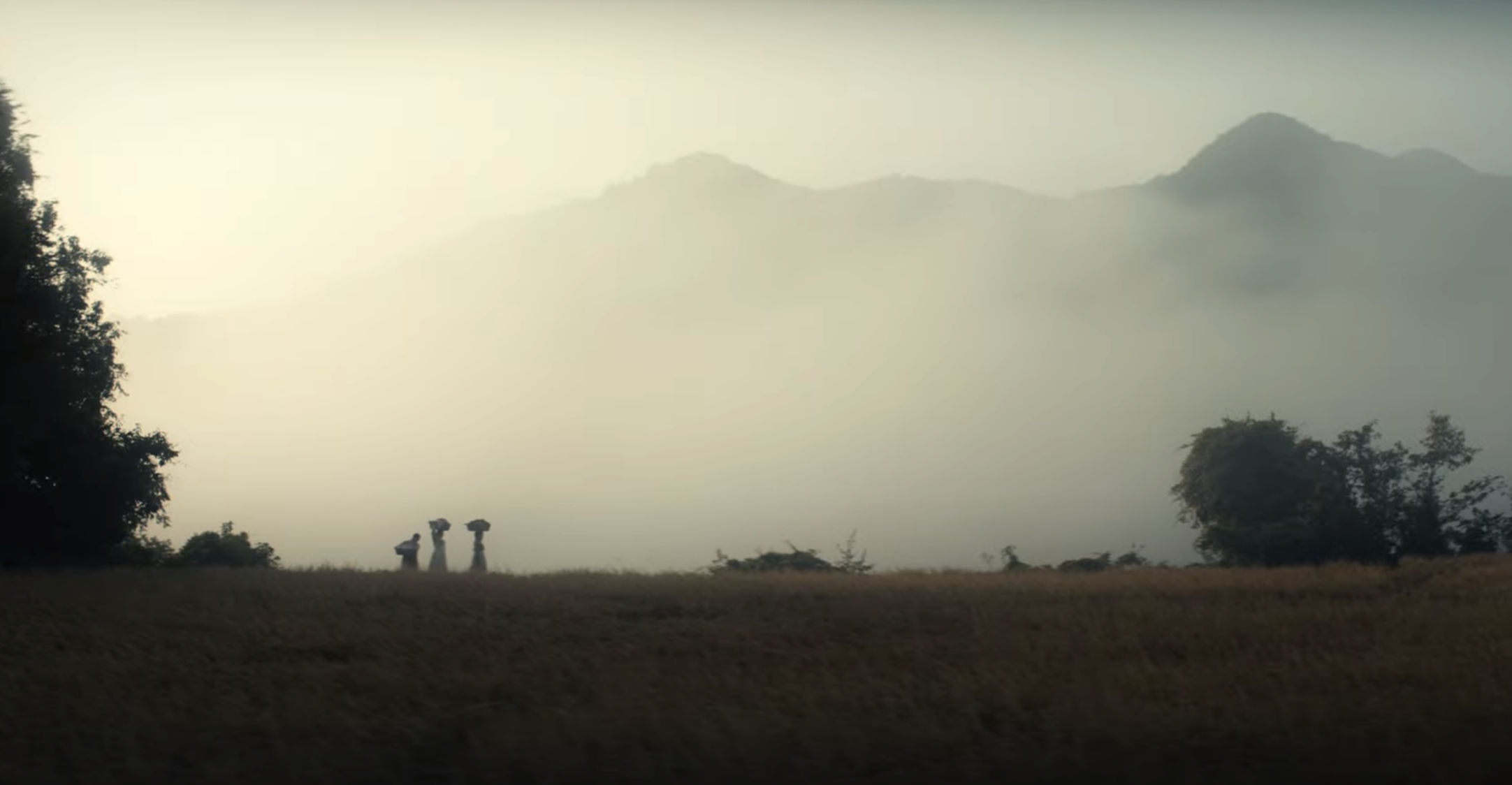 wide shot field with fog