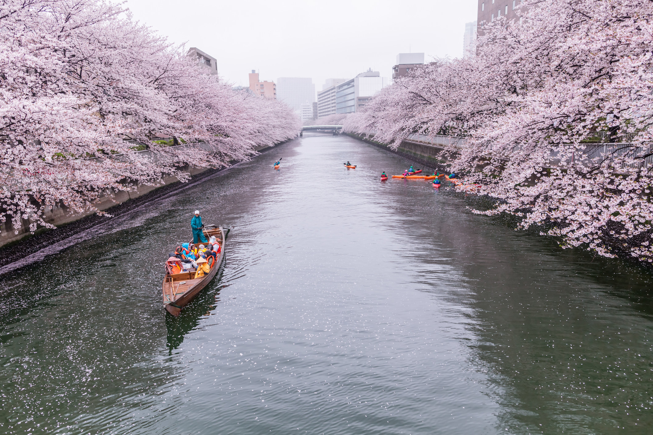 Tourists in a boat on the Sumida River in Tokyo
