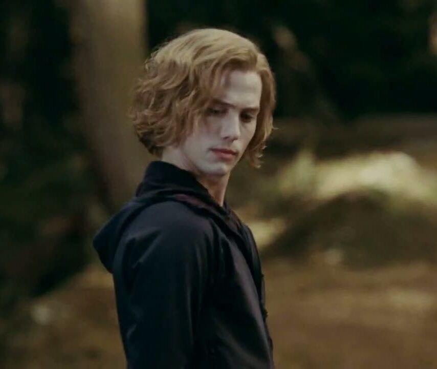 Jasper looking down at his vampire family training in the woods