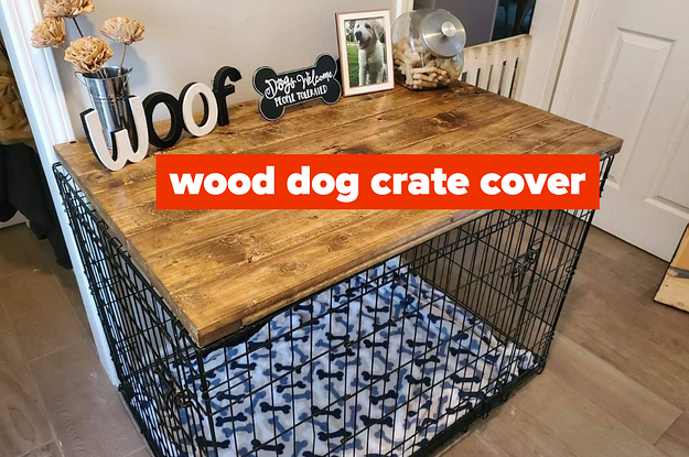 27 items every dog owner should have