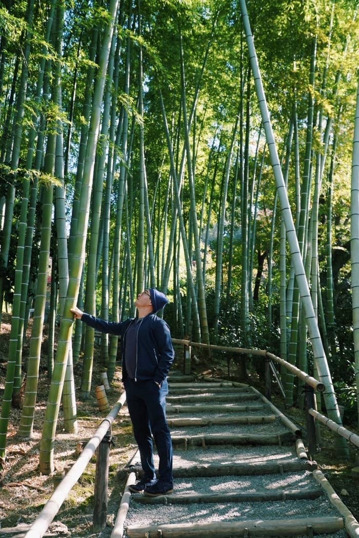 A man in a bamboo forest in Japan.