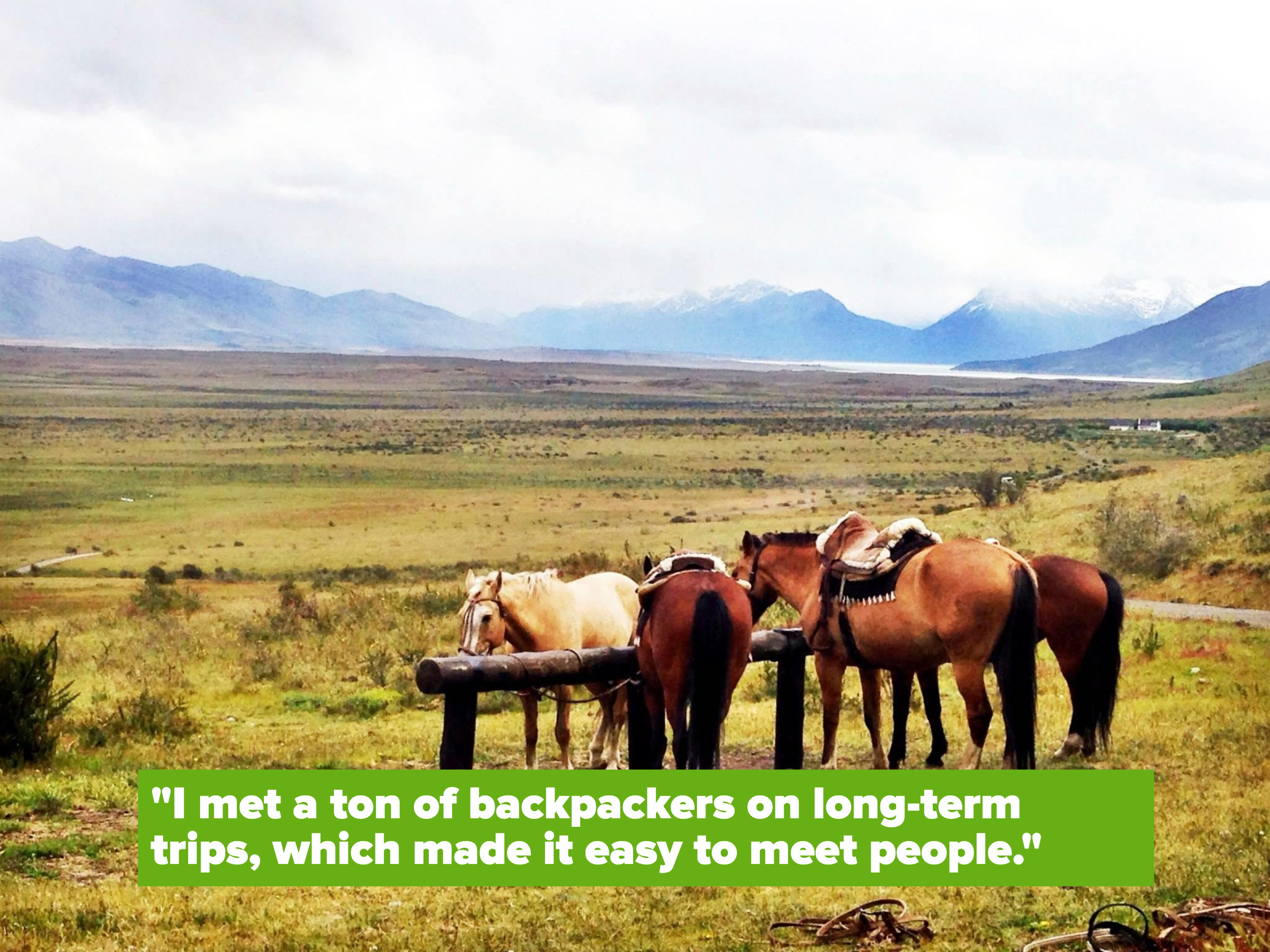 Horses with mountains in the background.