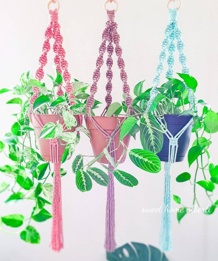 The three hanging planters in pink, purple, and blue