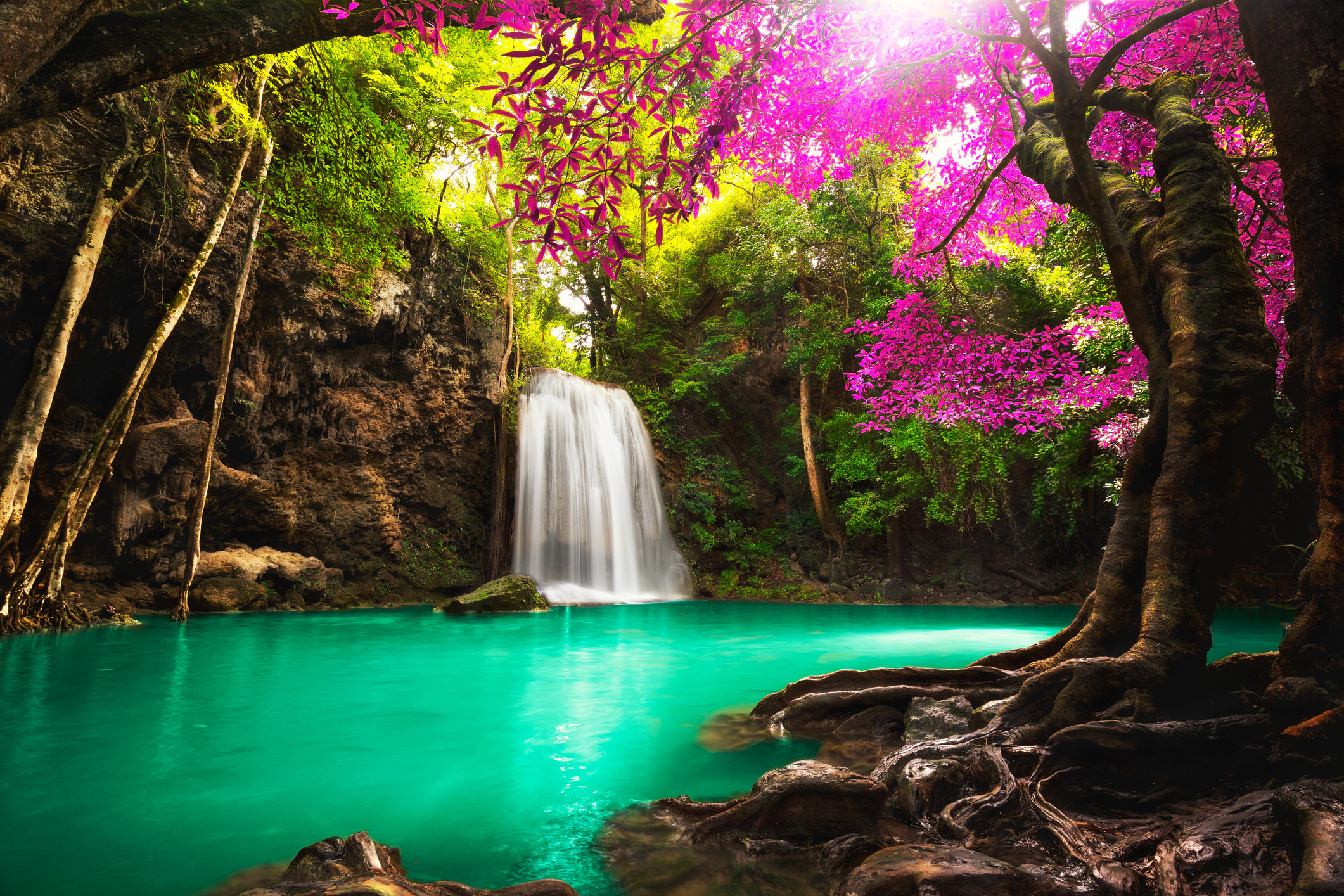 Green water with a waterfall in the background. A tree with bright pink flowers blooming, and trees everywhere, considered Elysium