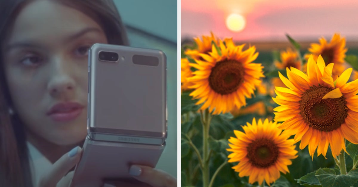 Which Plant Are You Based On The Insta Pics You Post