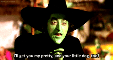 A green witch pointing and saying, &quot;I&#x27;ll get you my pretty, and your little dog, too!&quot;