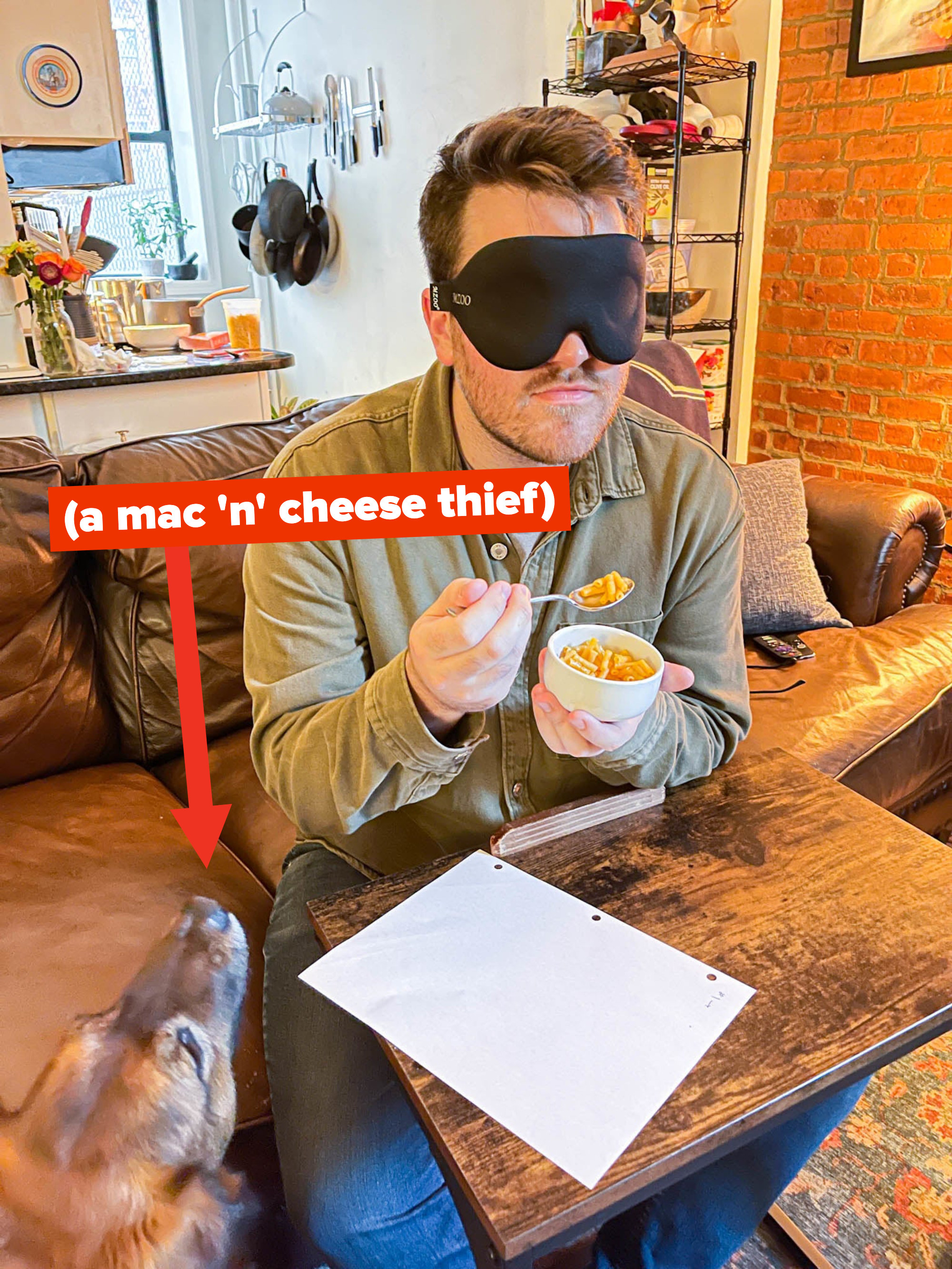 Arrow pointing to author&#x27;s dog with text &quot;a mac n cheese thief&quot; while the author eats a bowl of mac &#x27;n&#x27; cheese with a blindfold on