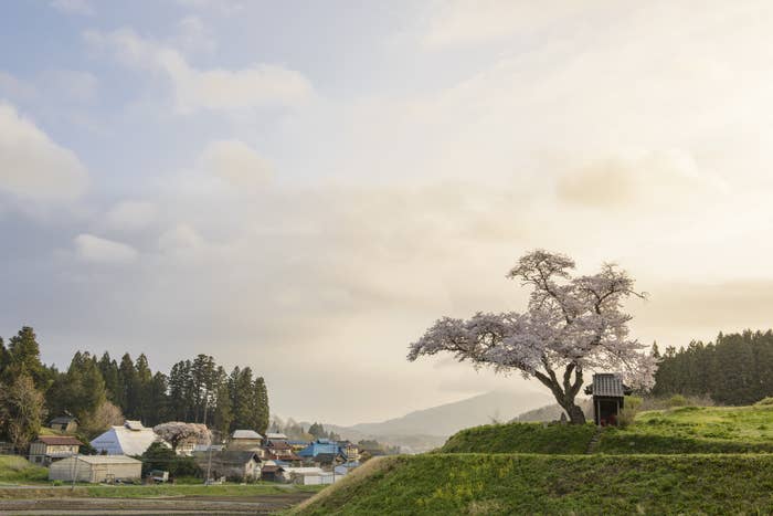 ここ日本ってまじか 田舎町で 異世界すぎる観光地 見つけちゃった