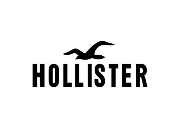 photo of Hollister's logo