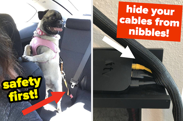 A split thumbnail of a dog and a cable