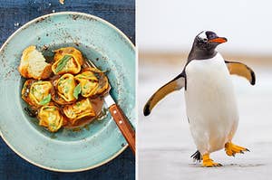 ravioli on the left and a penguin on the right