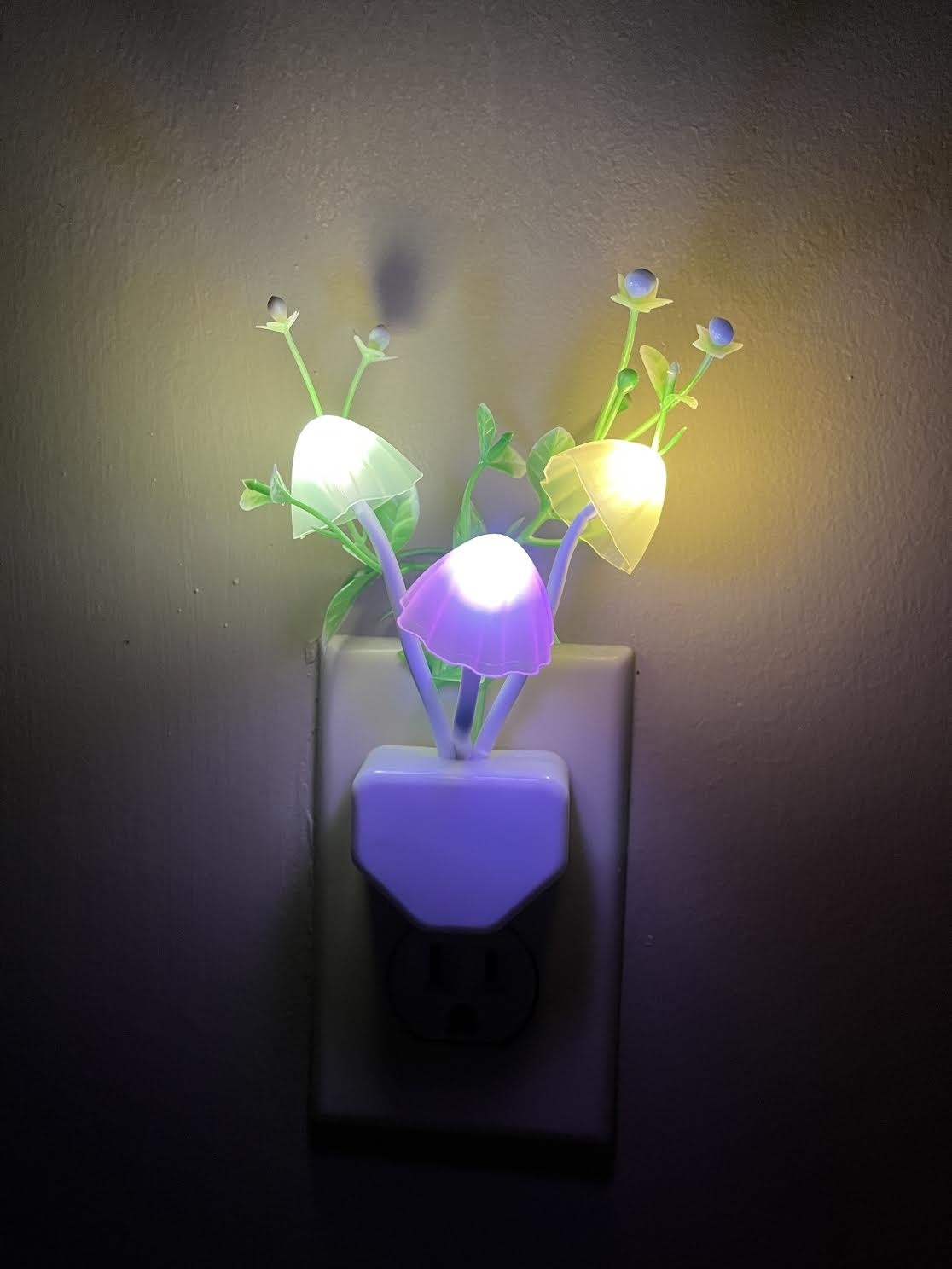The night light plugged into a wall lit up three different colours