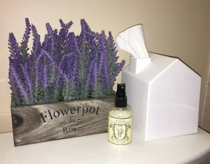 a reviewer photo of a box filled with lavender next to a the white house-shaped tissue box cover with a tissue coming out the &quot;chimney&quot;