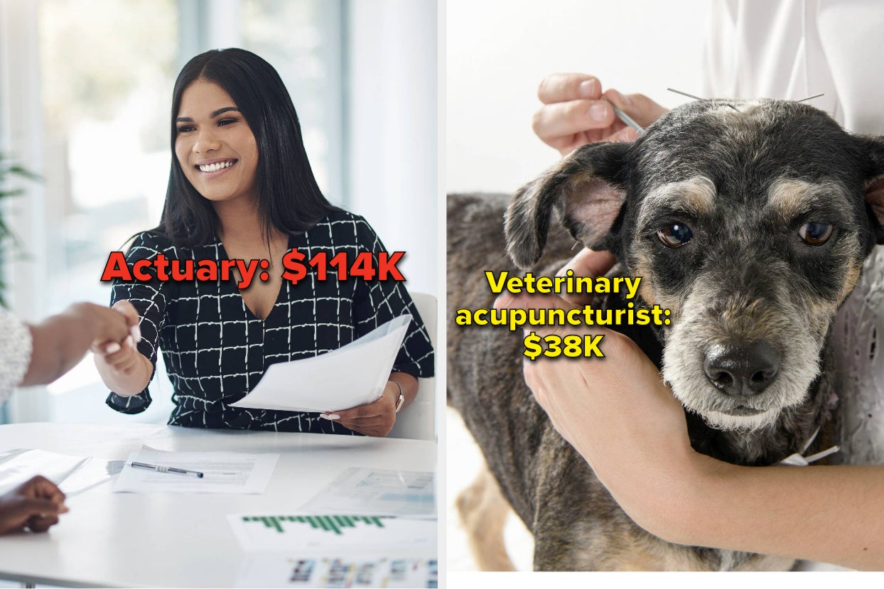 woman shaking hands in a business meeting, dog getting acupuncture