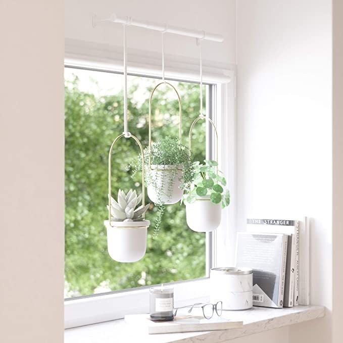 A set of three planters hanging in front of a window above a windowsill with books, candles, and glasses resting on it