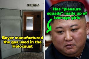 gas chamber labeled "Bayer manufactured the gas used in the Holocaust" and Kim Jong-un labeled "Has 'pleasure squads' made up of teenage girls"