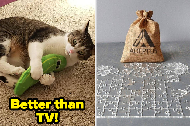 cat playing with pickle toy with text "better than TV" and a clear jigsaw puzzle
