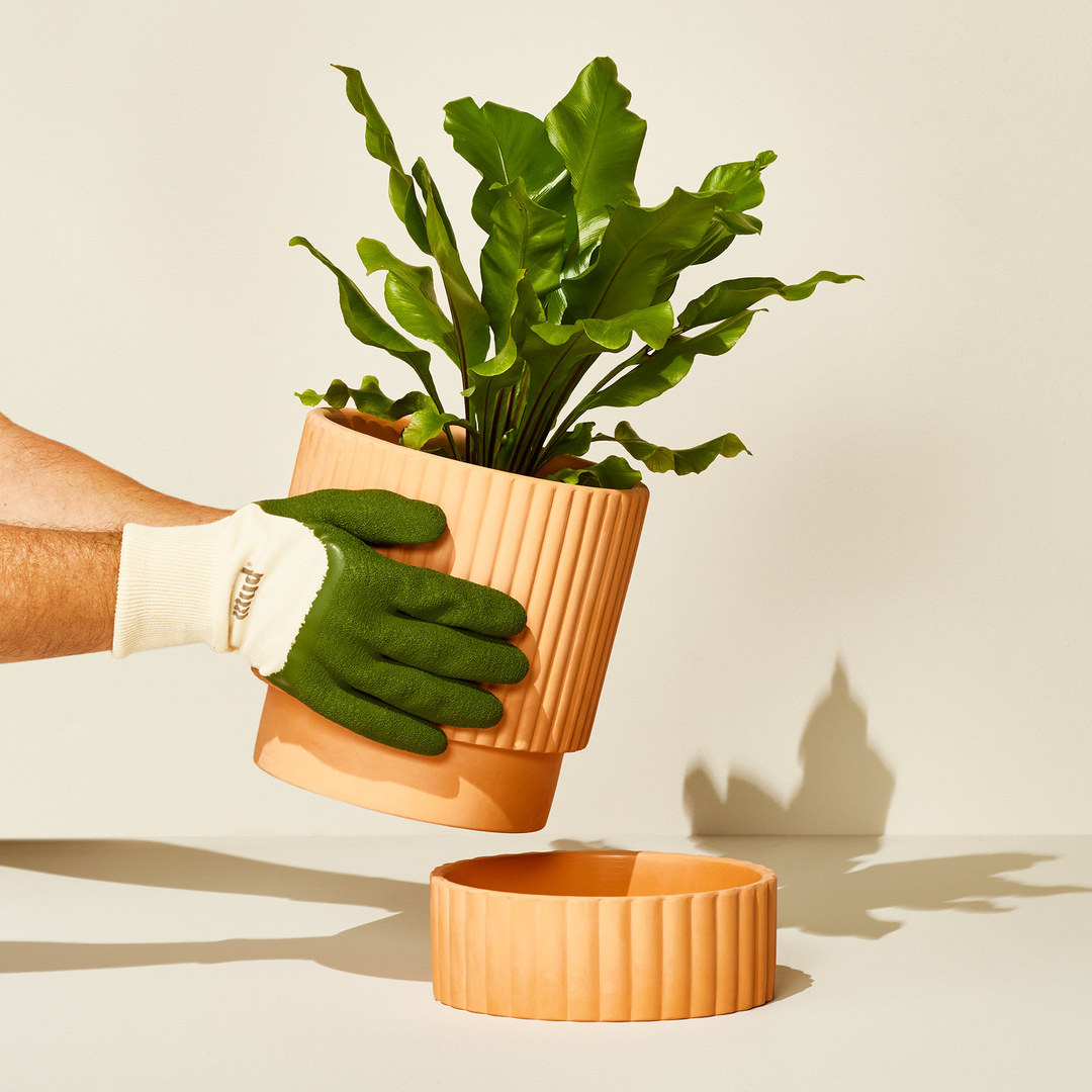A person placing the top half of the pot onto its base