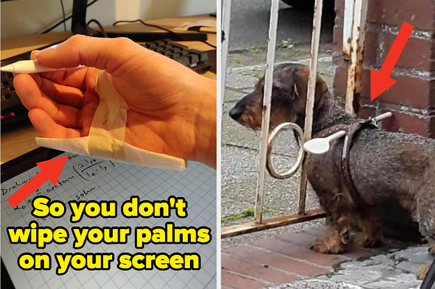 A hand with a napkin taped to it, and a dog with a spoon tied to them so they don't escape through a fence