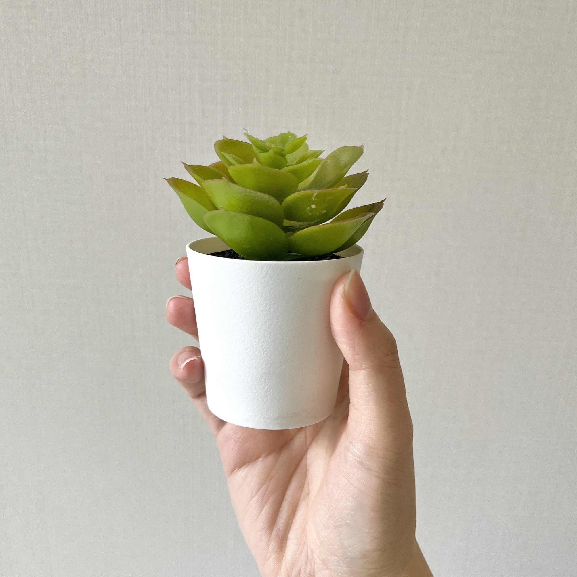 IKEA(イケア)のオススメのインテリア「FEJKA フェイカ」