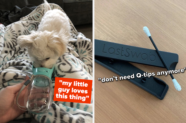 A little dog drinking from the water bottle