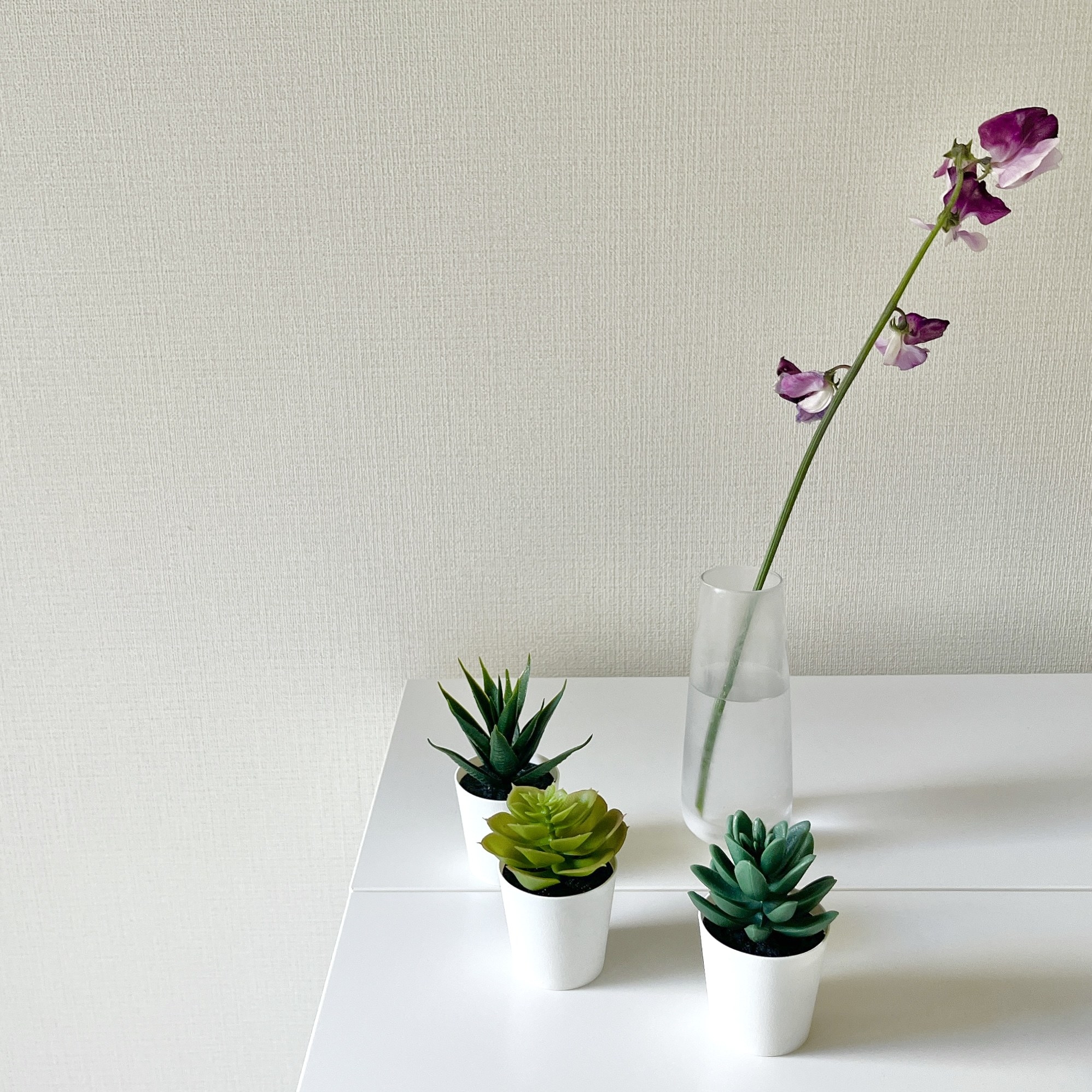 IKEA(イケア)のオススメのインテリア「FEJKA フェイカ」