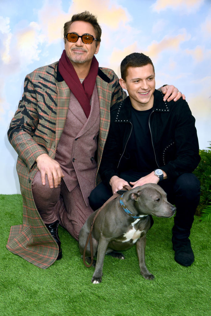 RDJ and tom holland at the dolittle premiere with tom&#x27;s dog tessa