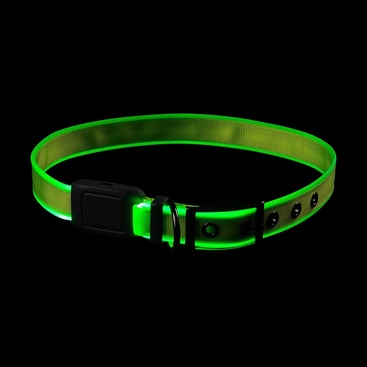 The lit-up collar on a dark background