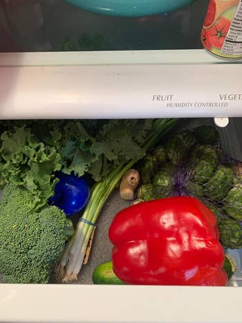reviewer's crisper drawer with the bluapple tucked among their very fresh-looking produce