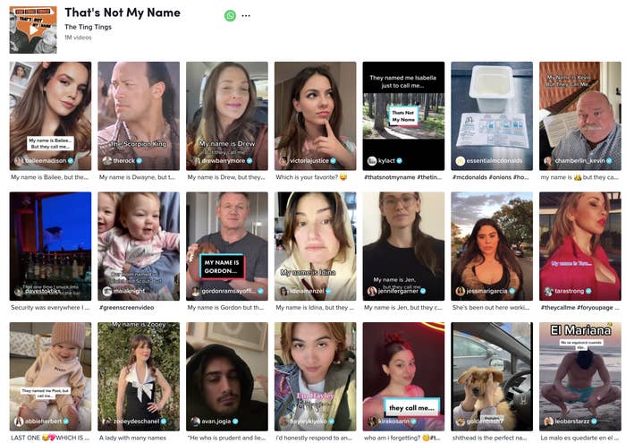 Screenshot of viral TIkTok trend dominated by celebrities