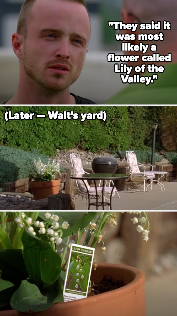 Jesse tells Walt Brock was poisoned with a flower called lily of the valley — at the end of the episode, we see that Walt has this plant at his house