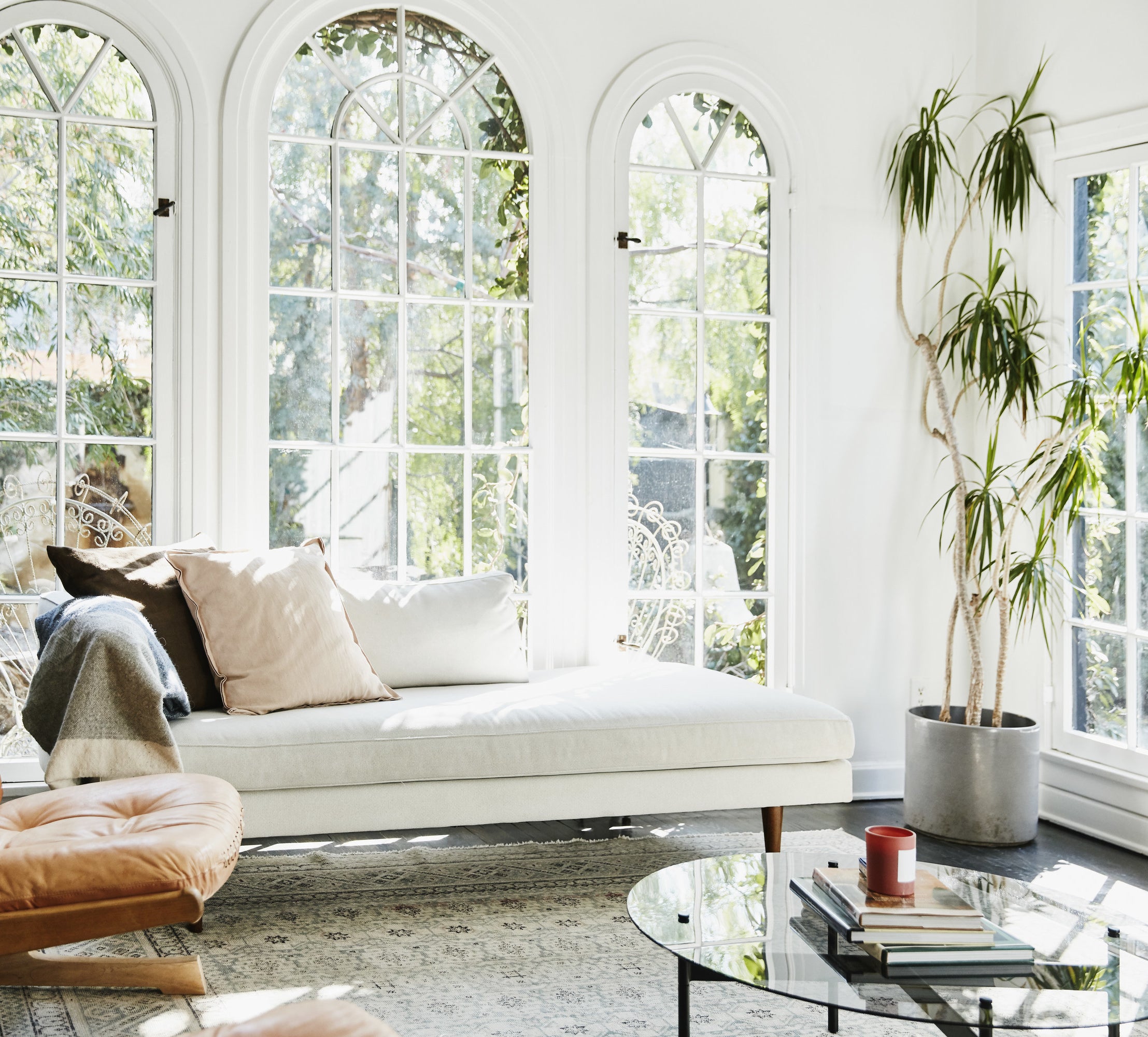 Bright living room with large, curved windows