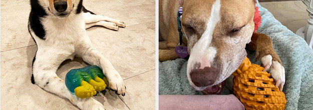 best biting toys for puppies