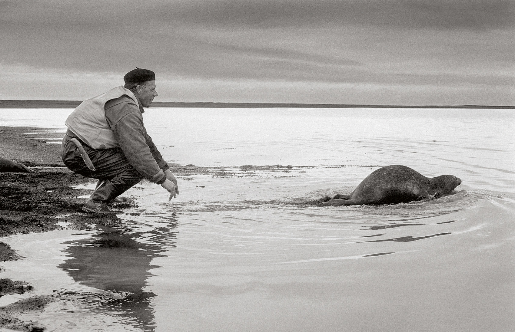 A man with a hunting knife watching a seal on the shore as it swims away