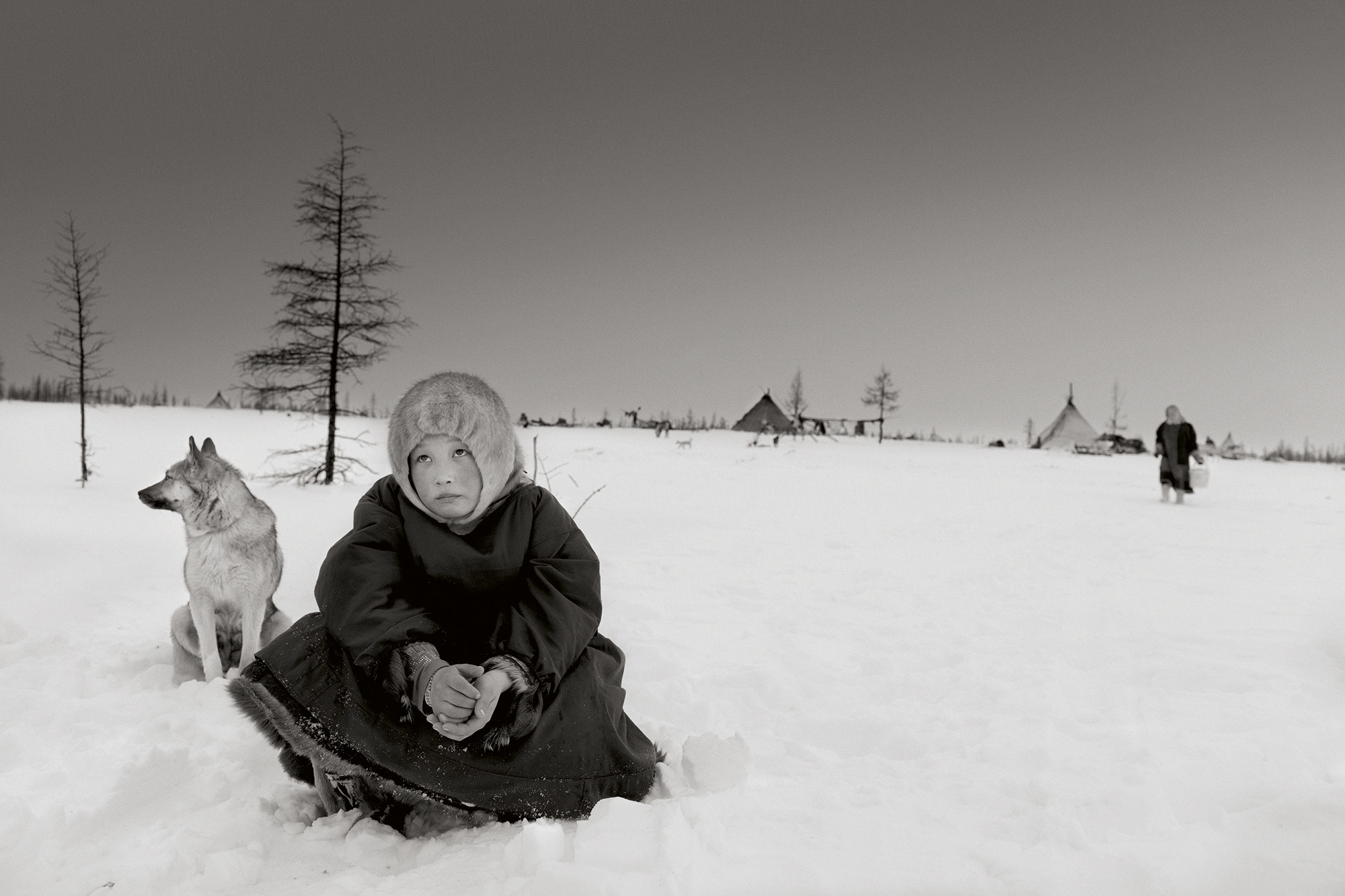 A young boy sitting in the snow with a sled dog behind him 