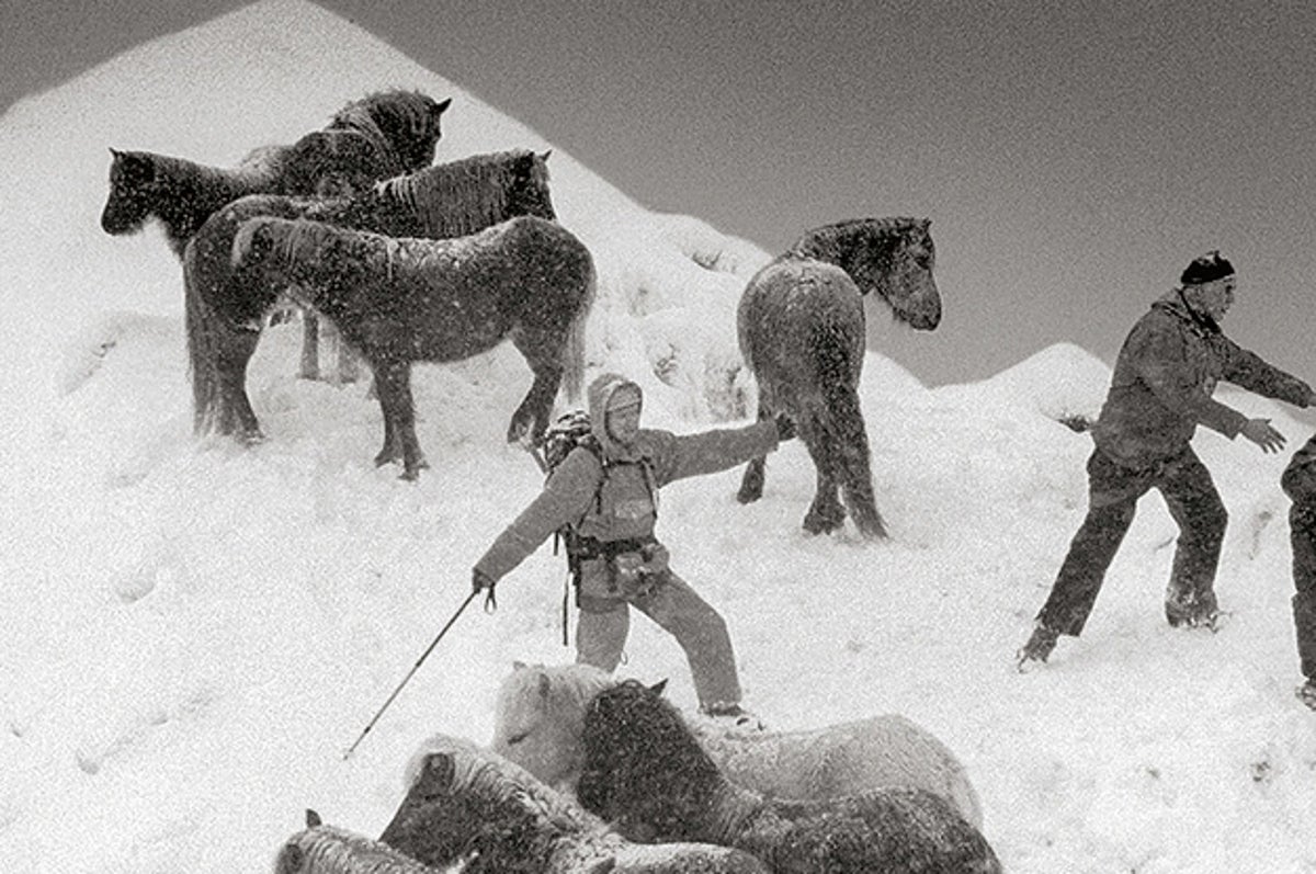 Photos Capture Arctic Amid Climate Change - Vimarsana News