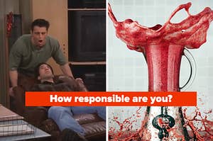 Joey and Ross are in a chair on the left with a blender exploding on the right labeled, "How responsible are you?"