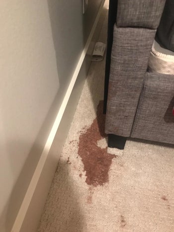 reviewer image of a huge red wine stain on beige carpet