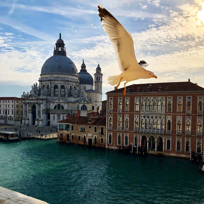 Venice view from The Gritti Palace